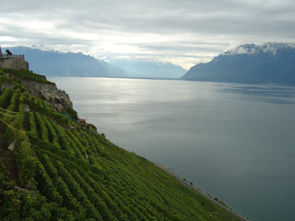 Panorama sur le Haut-Lac, route de la Corniche by Jean-Marc Allet