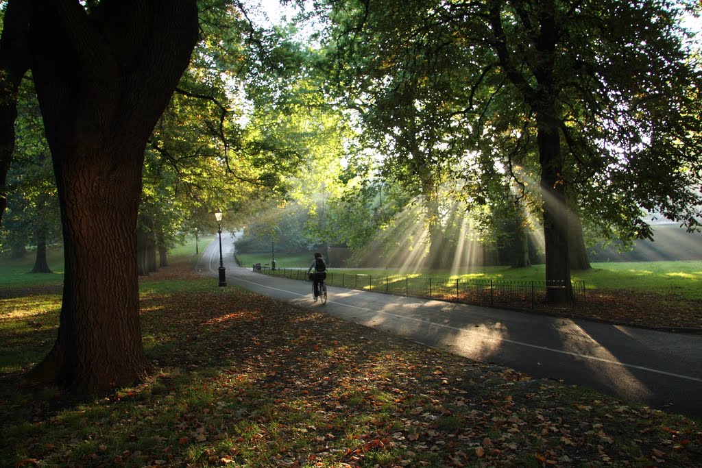 Policemans path, Hyde park by ian.r