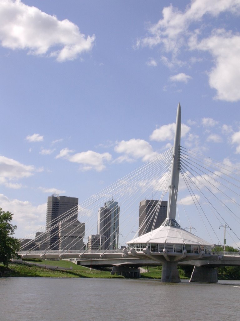 Winnipeg Downtown from Red River by misouk