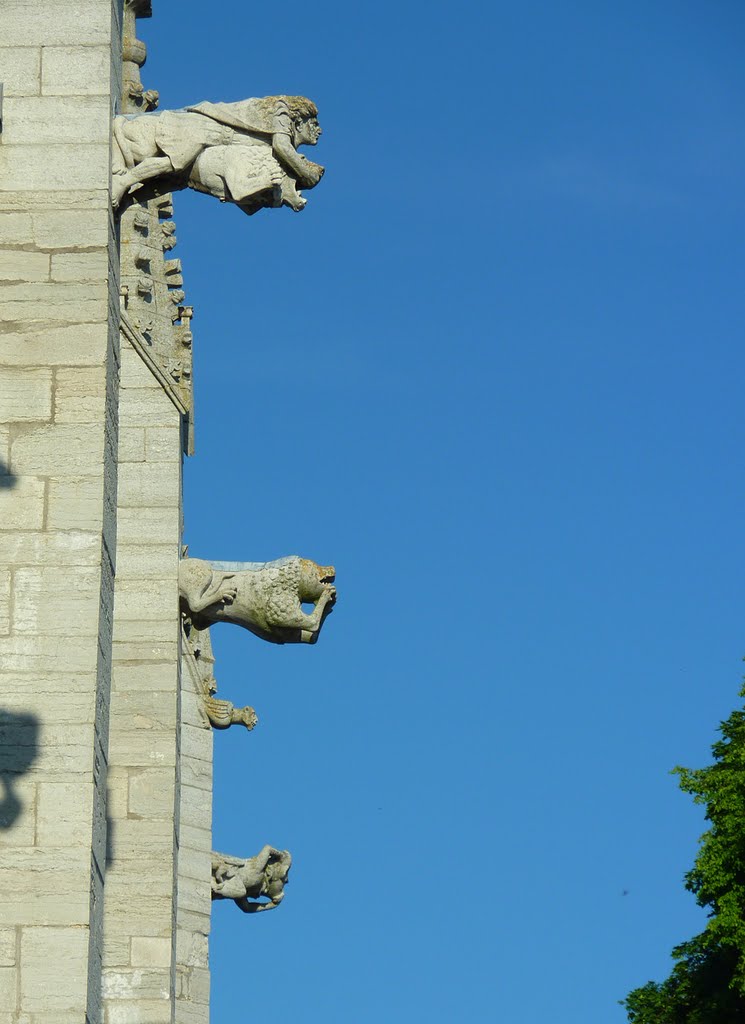 Gargoyles. Sankta Maria, Visby by thor@odin™