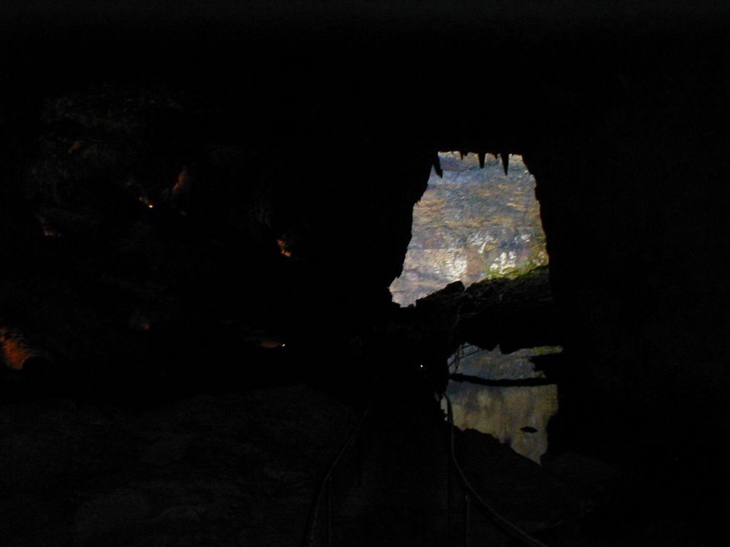 Cavernas Río Camuy, Puerto Rico by Osvaldo Burgos