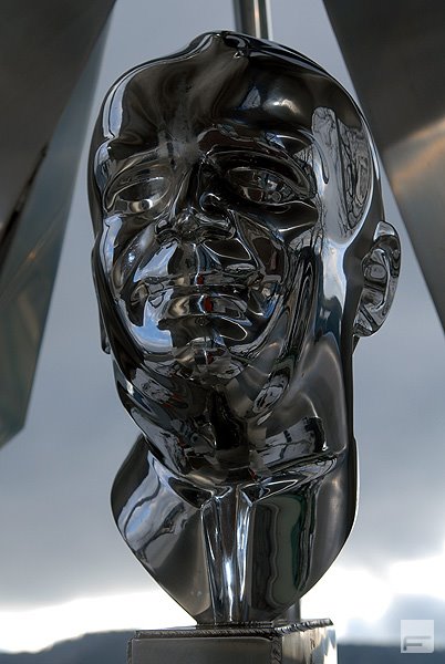 Chrome head by Balint F Gyula