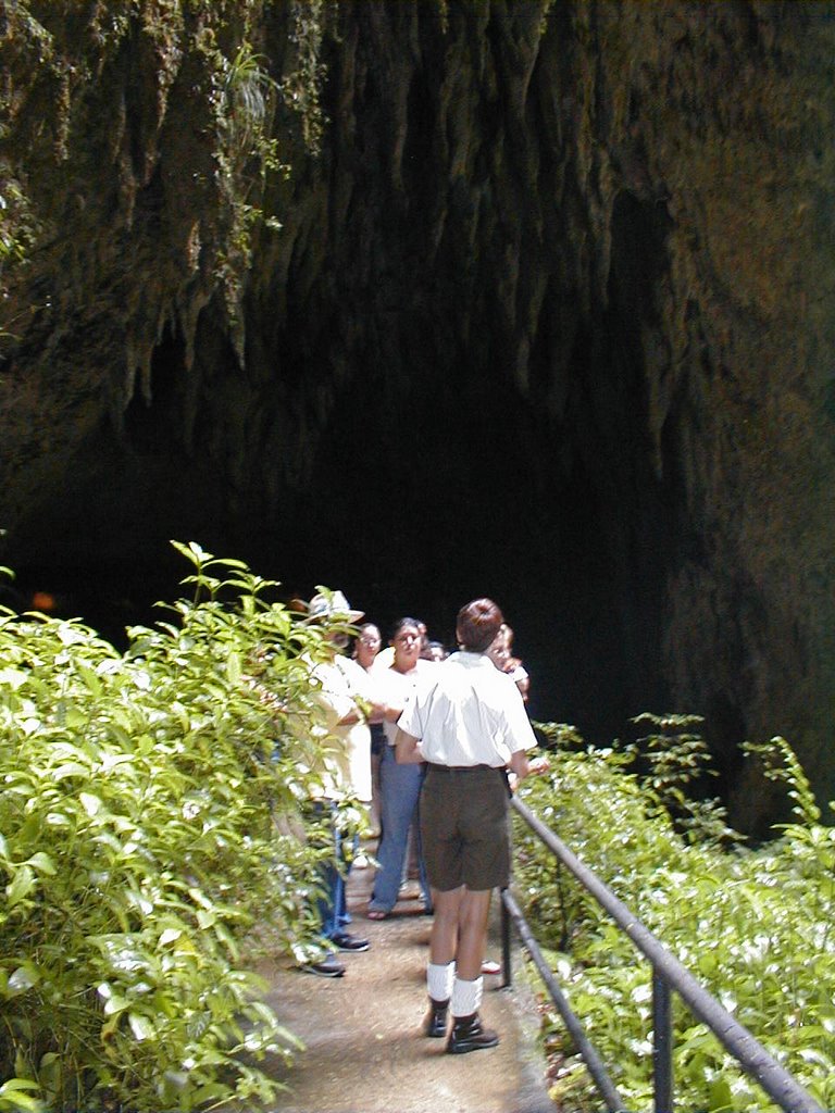 Cavernas Río Camuy, Puerto Rico by Osvaldo Burgos