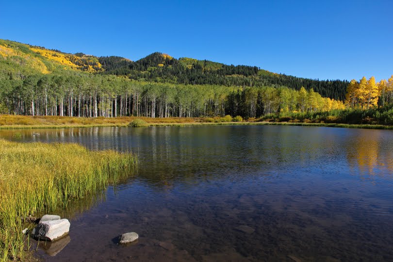 Fall color at willow lake by spencer baugh