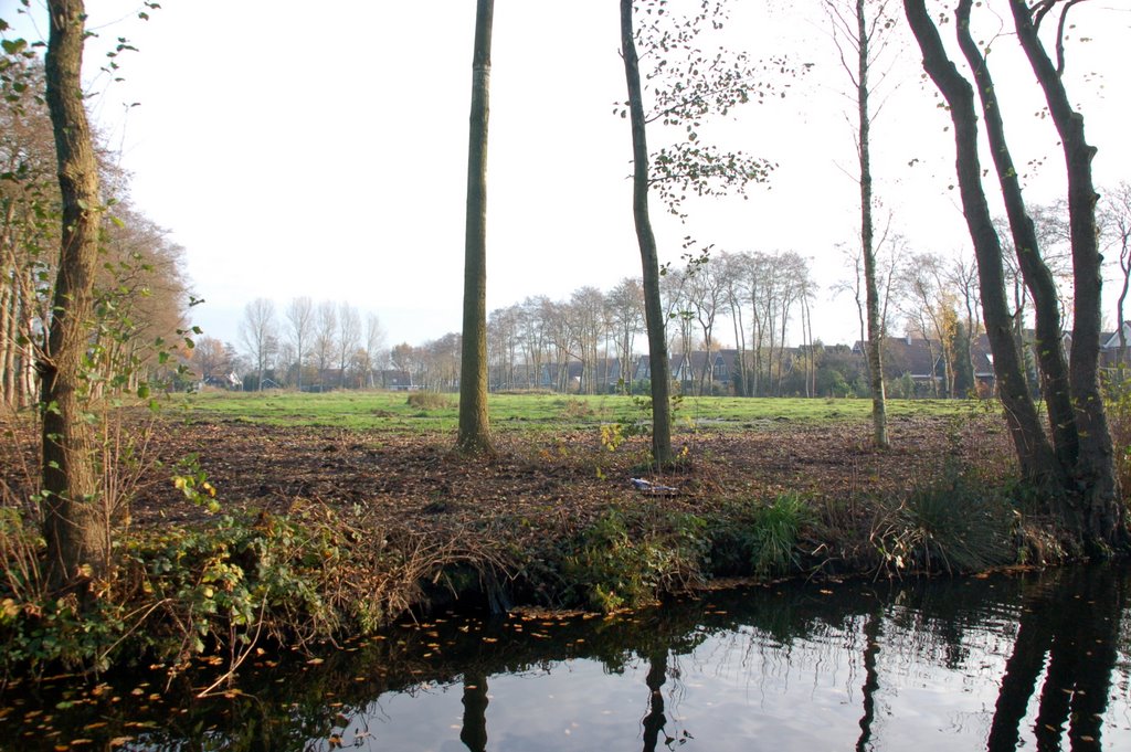 Future building site (houses) by Peter Struijk