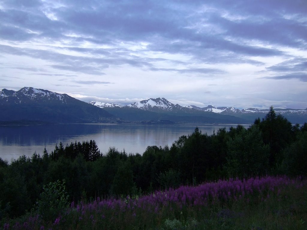 Herjangsfjorden, Narvik by frorth