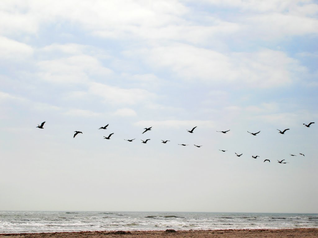 Mustang Island Beach by HUI JIANG