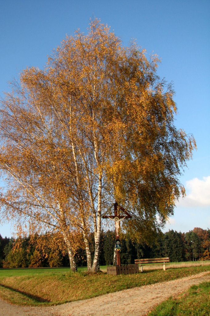 Neumarkt, Feldkreuz am Beckenhofer Weg by gerhardknoe