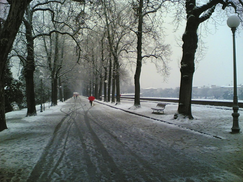 neve a lucca by 8802902