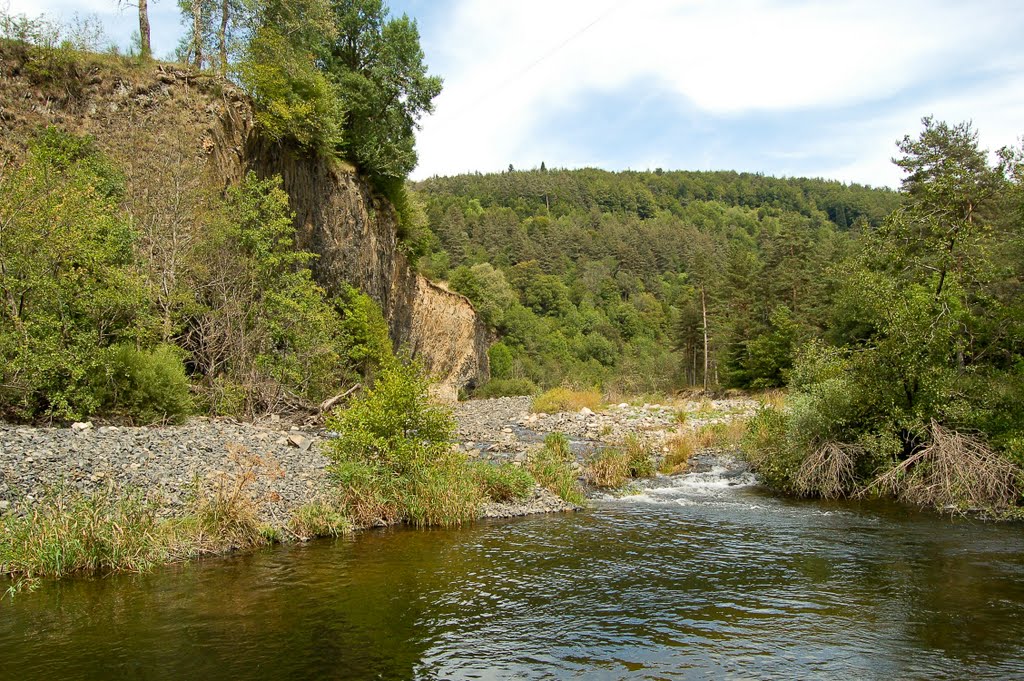 La forêt ardéchoise et la Loire by Bernard Bost