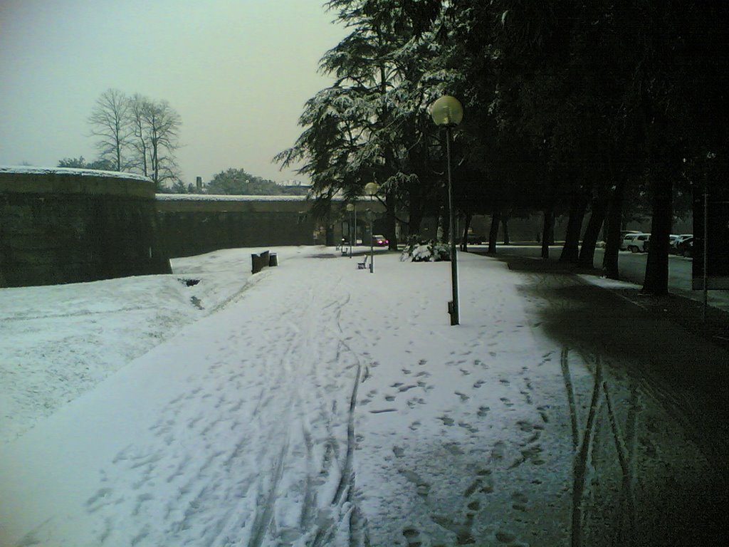 Neve a lucca by 8802902