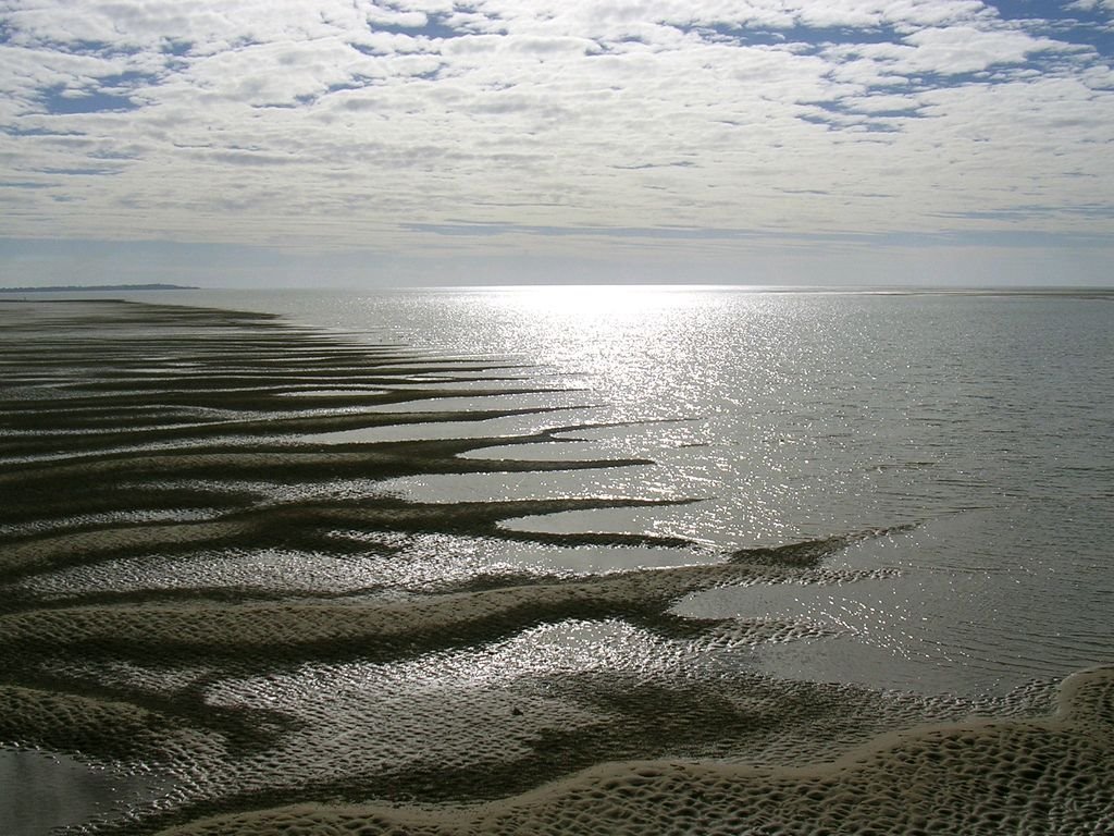 Hervey bay by obsty