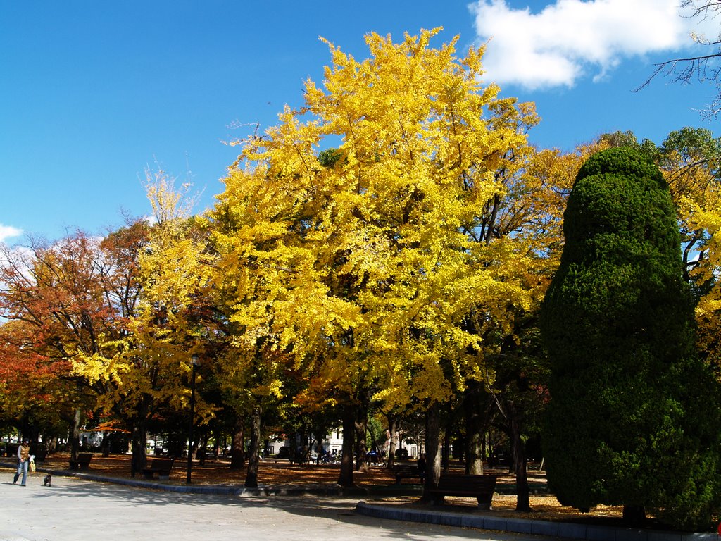 Peace park (平和公園） by Ad. Junior