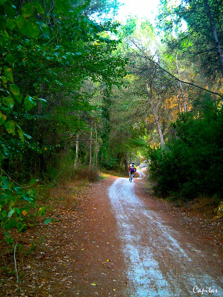 Ruta fluvial del Turia a su paso por la Presa (Manises) by capas