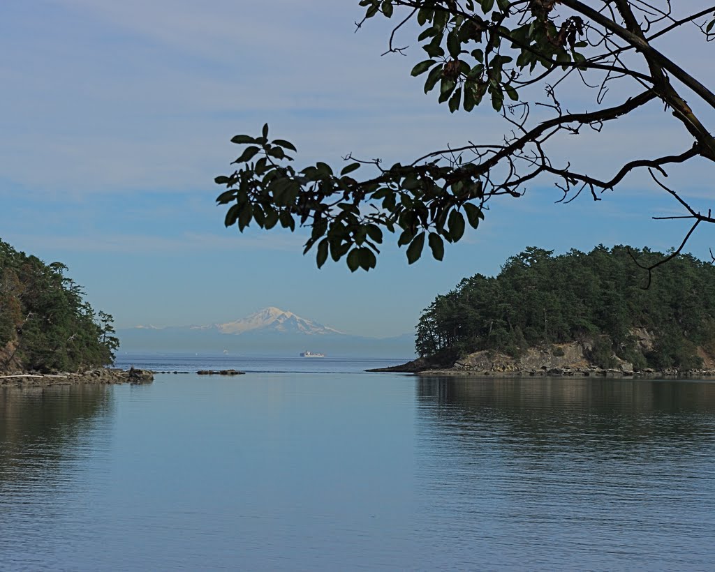 Mt Baker View by John Greaves