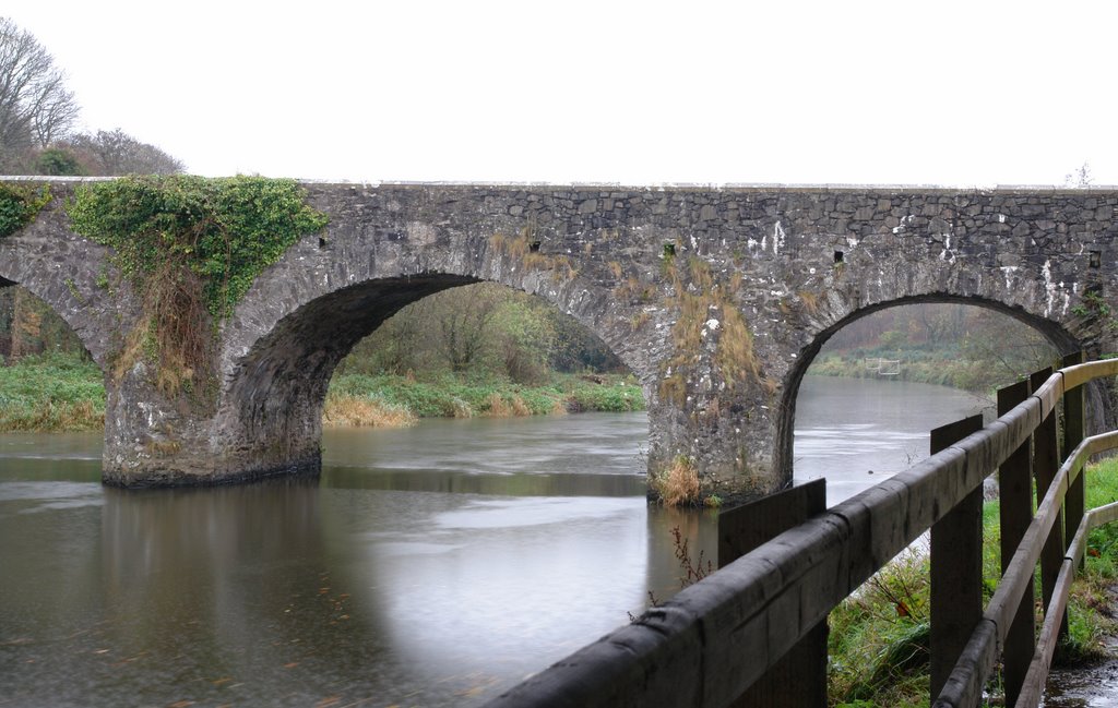 Shaw's Bridge in the Rain by Greg Thompson