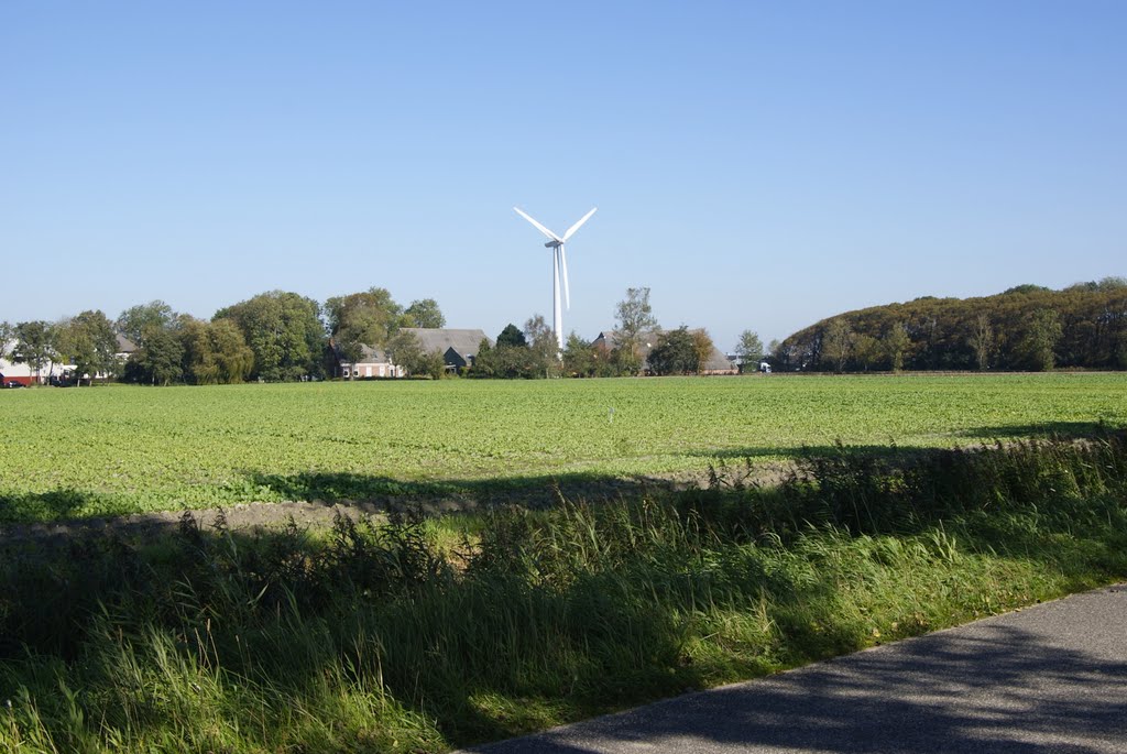 Uithuizen, Windmolen by Jan Lalkens