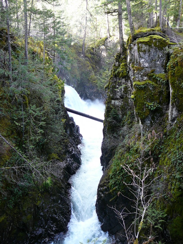 Waterfalls at Little Qualicum Provincial Park by Moledozer