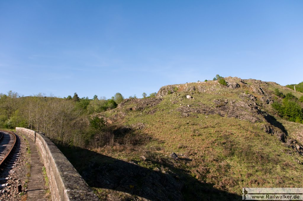 Rund um das Viadukt herum liegen Weideflächen by Railwalker