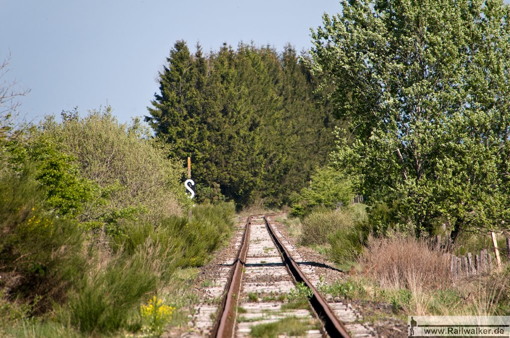 Blick zurück zu vorherigen Baumreihe by Railwalker