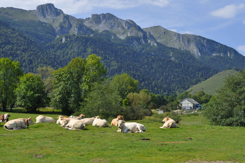 Col de Marie blanque by fjaviere