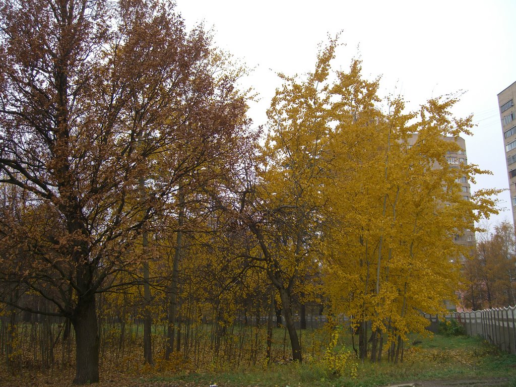 Late autumn by Teodoro de Jimki