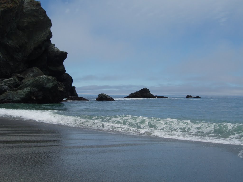 Coast in Lime Kiln State Park by afraser30