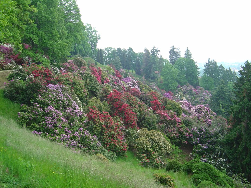 Parco della Burcina, Biella by concertodisogni