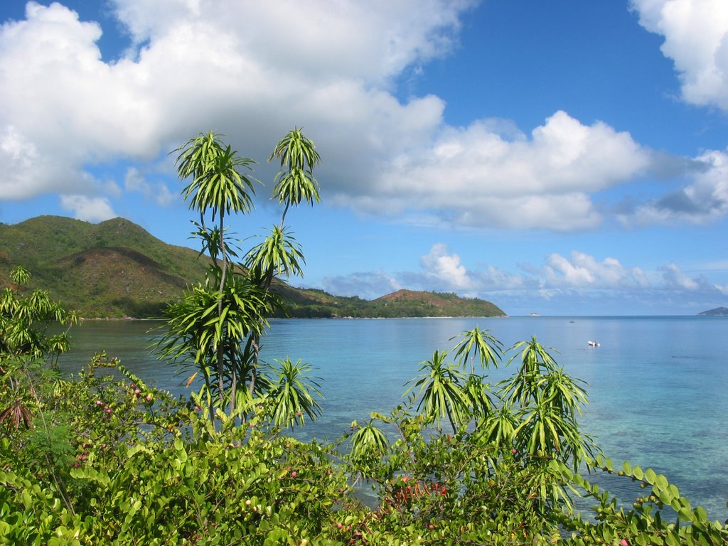 Praslin, Seychelles by Felix Gattiker