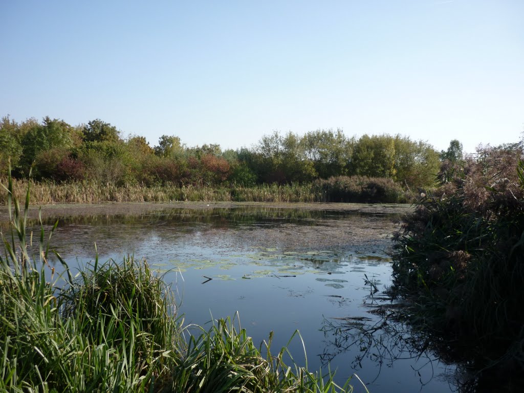 Teich, Tannenbusch, 09.2011 by D. Menjoulet