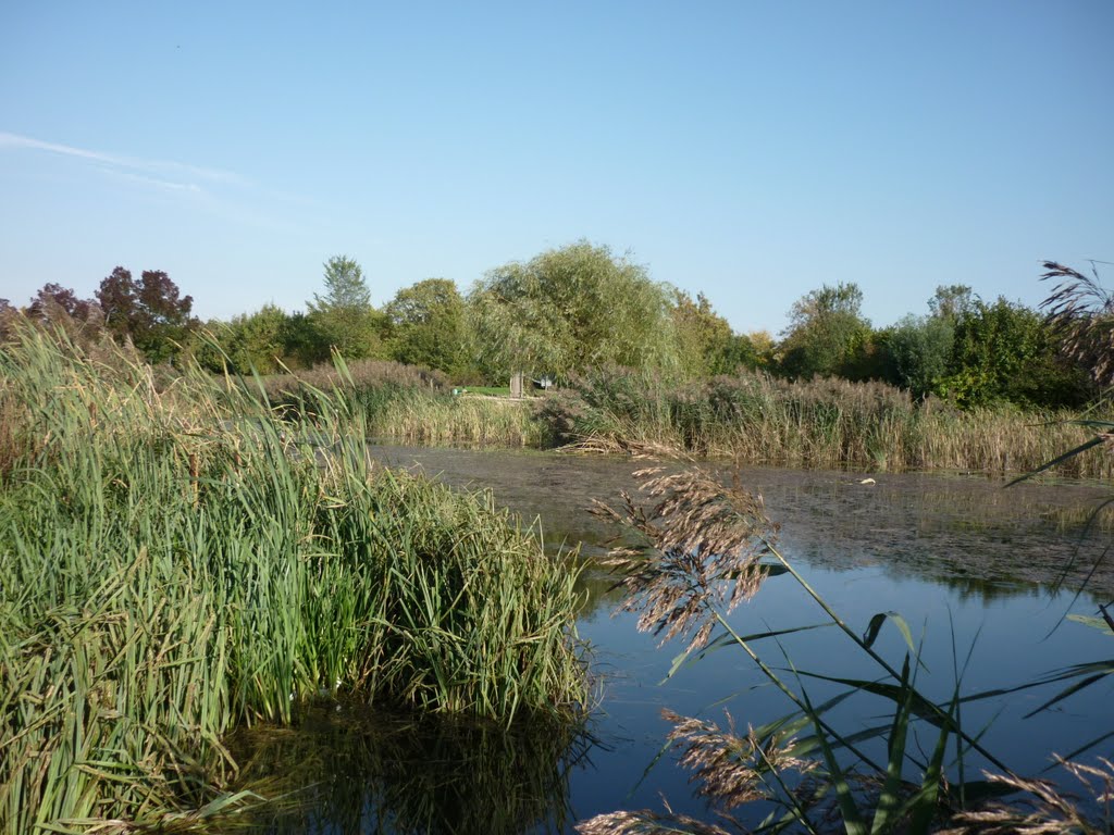 Teich, Tannenbusch, 09.2011 by D. Menjoulet