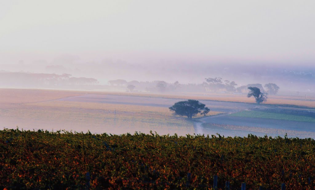 Smoke in the valley. Somerset west by van vuuren