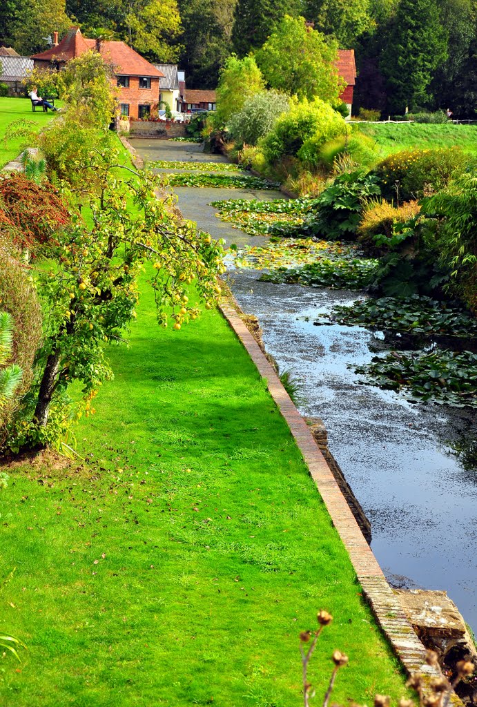 Moat walk, Loseley Park by DAVID ROBINS