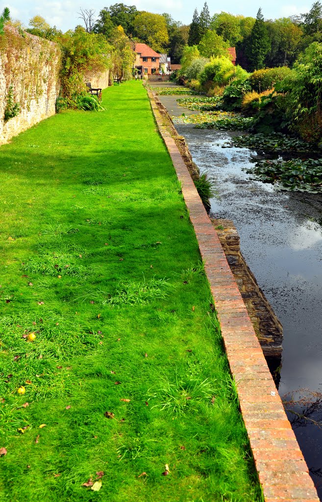 Moat walk, Loseley Park by DAVID ROBINS