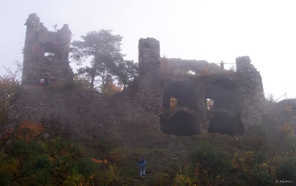 Zřícenina hradu Zubštejn v mlžném oparu (The ruins of the castle Zubštejn in the mist) by PeSis (Petr Š.)