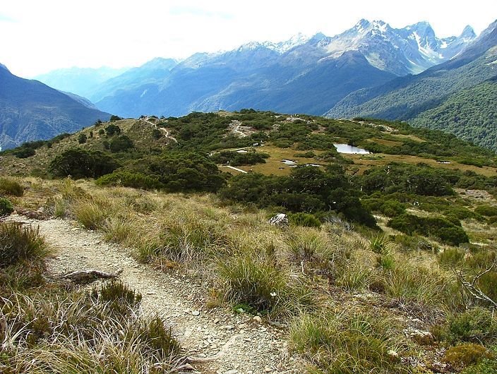 View across Key Summit towards Hollyford Valley and Humboldt Mountains by Greg Steenbeeke