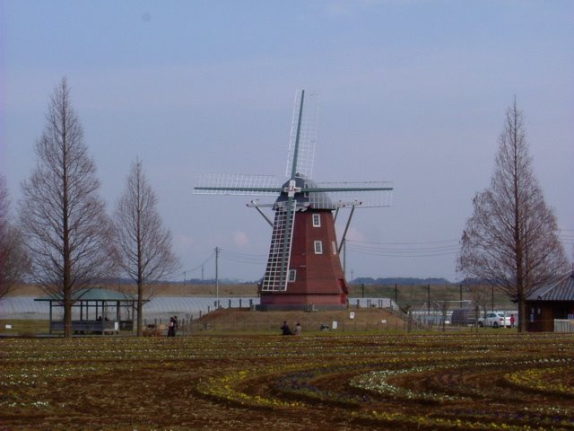 The windmill of an Akebono Yama park by sola