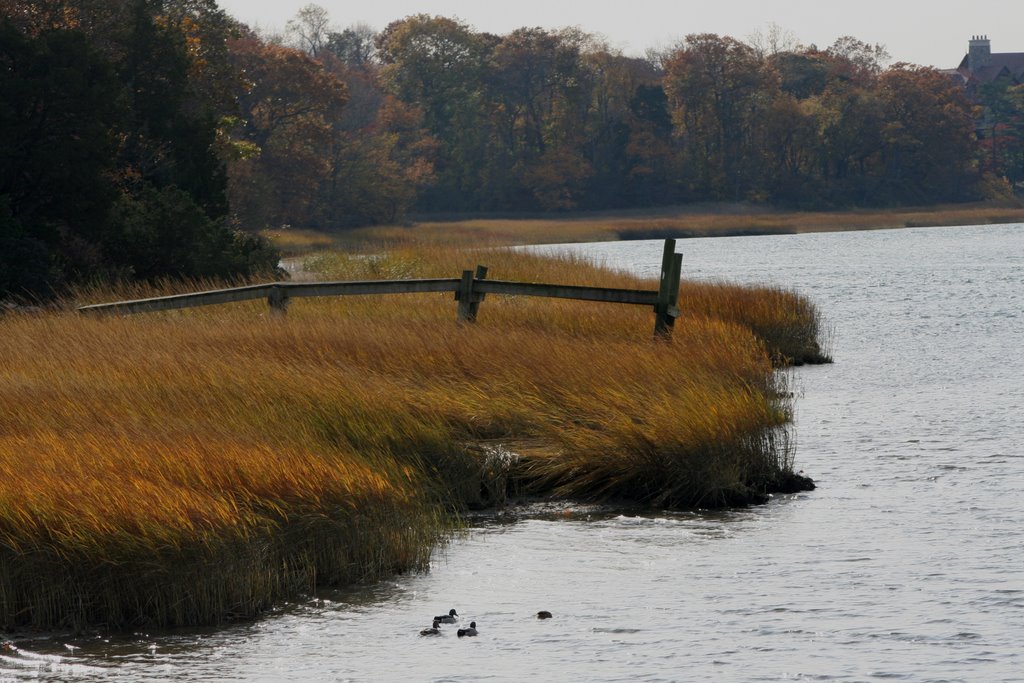 Stony Brook Marsh by Scott Hanko