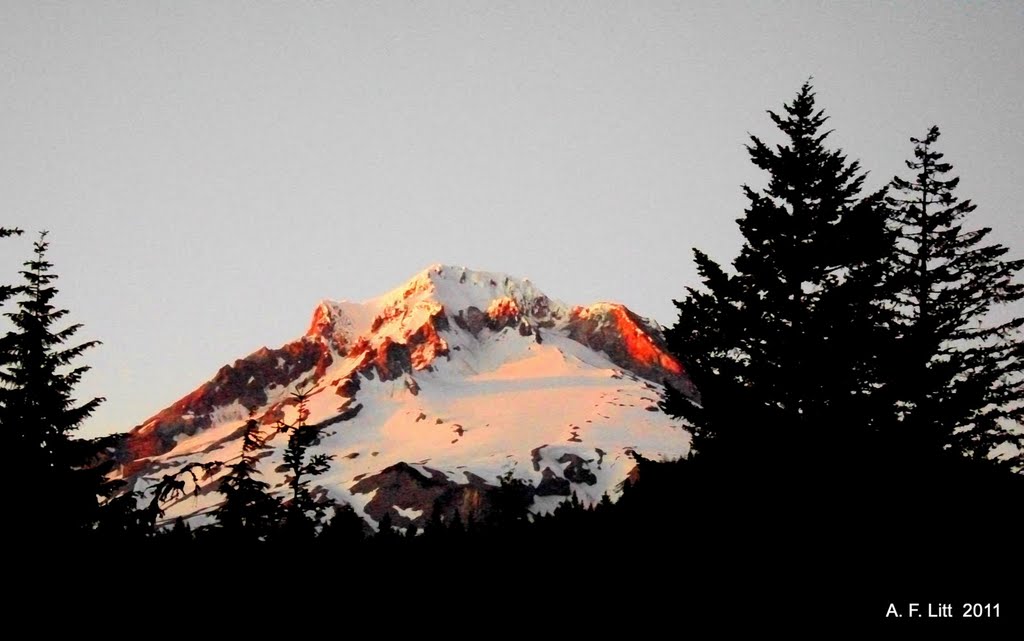 Mt. Hood from Hwy 26, July 28, 2011. by A. F. Litt