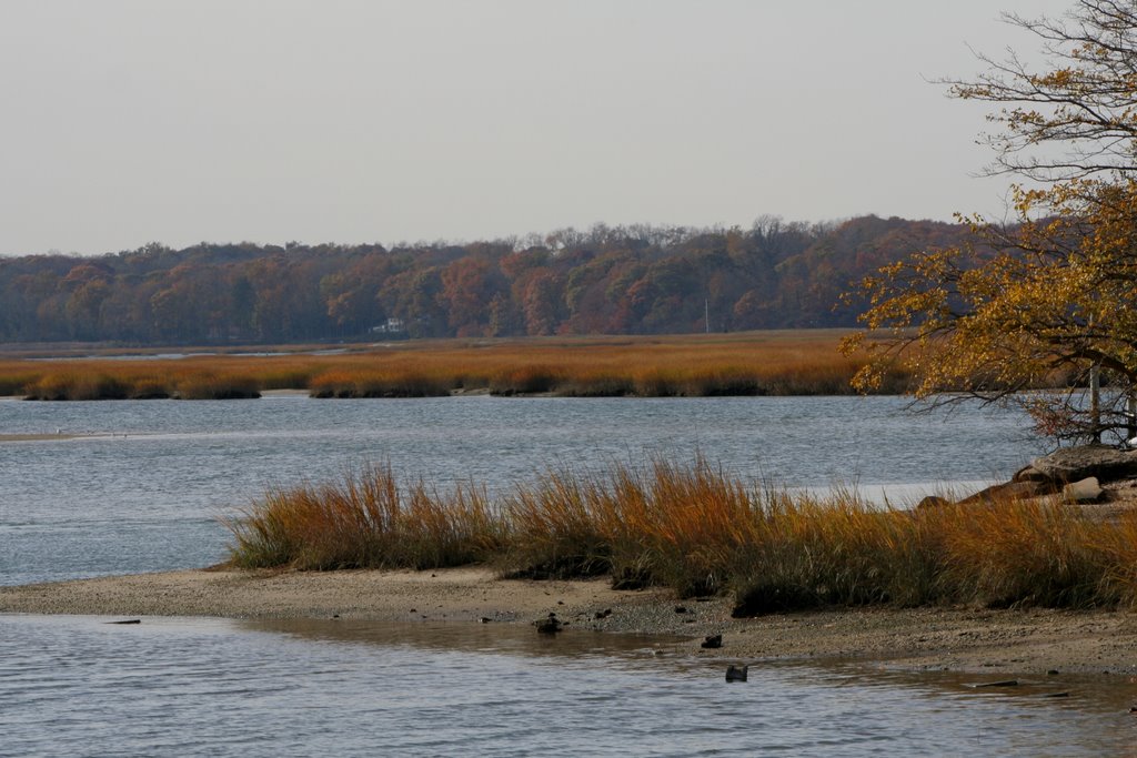 Fall at the Beach by Scott Hanko