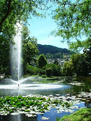 Fountain in Queenstown Gardens park by EcologistGreg