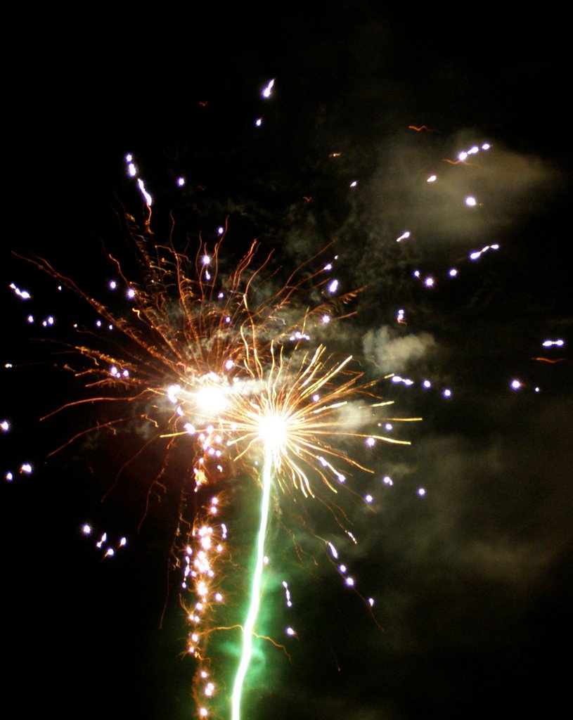 Fireworks on the Beach by Leila.Evans