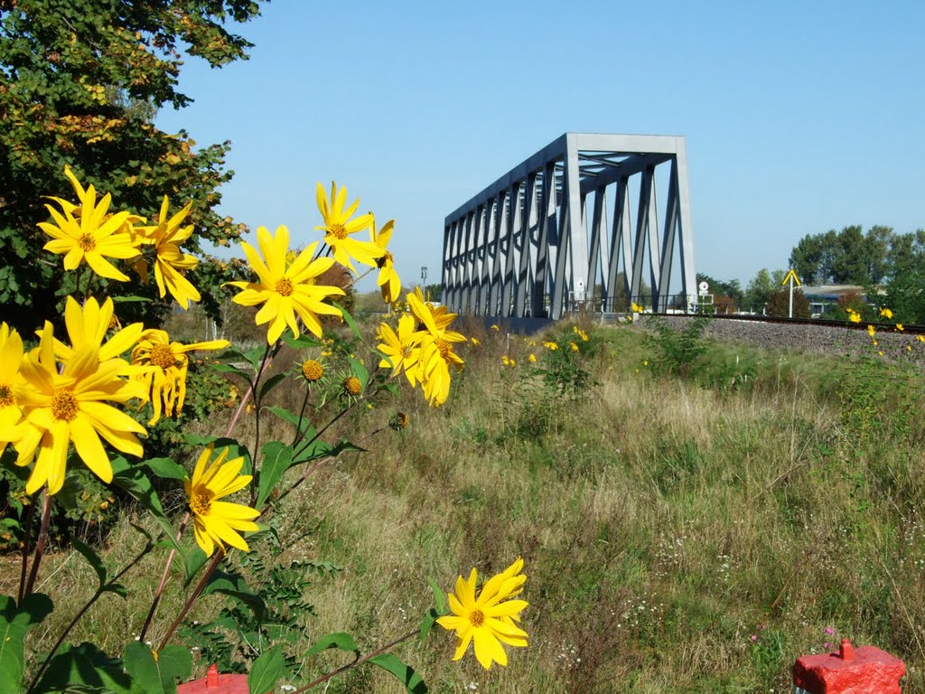 Genthin, Eisenbahnbrücke, so schön als ob jeden Moment der Zug aus Jerichow rüberrollen würde by minka1991