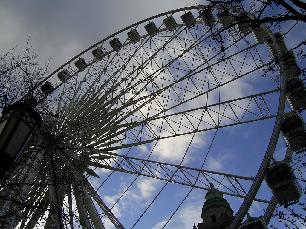 Belfast eye by catboy