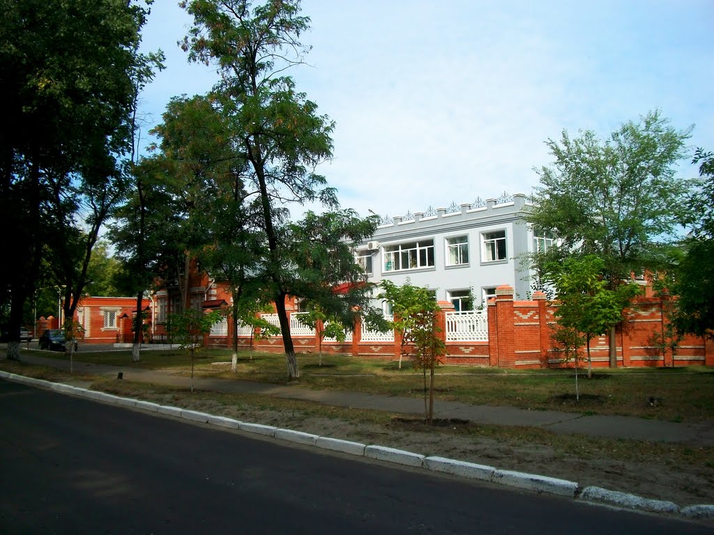 Smetanin street, Severodonetsk by Pogromca Gašnič