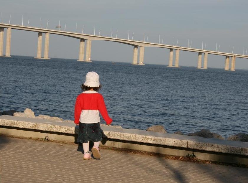 Ponte Vasco da Gama by Luca Onesti