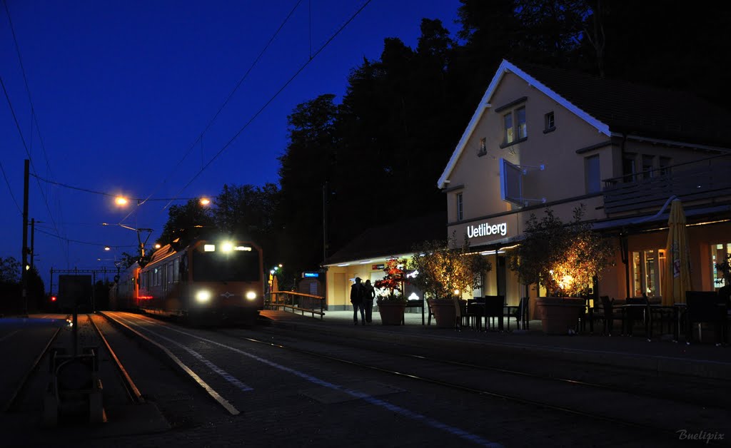 Abends auf dem Uetliberg (© Buelipix) by Buelipix