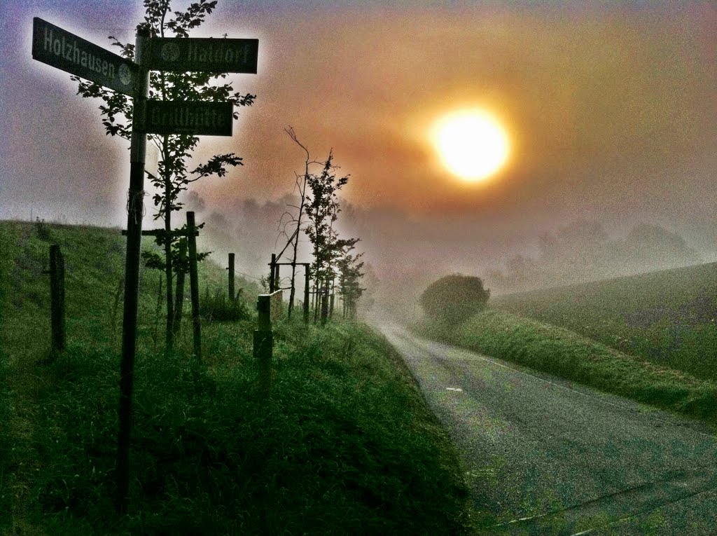 Morgennebel by Harry Fischer