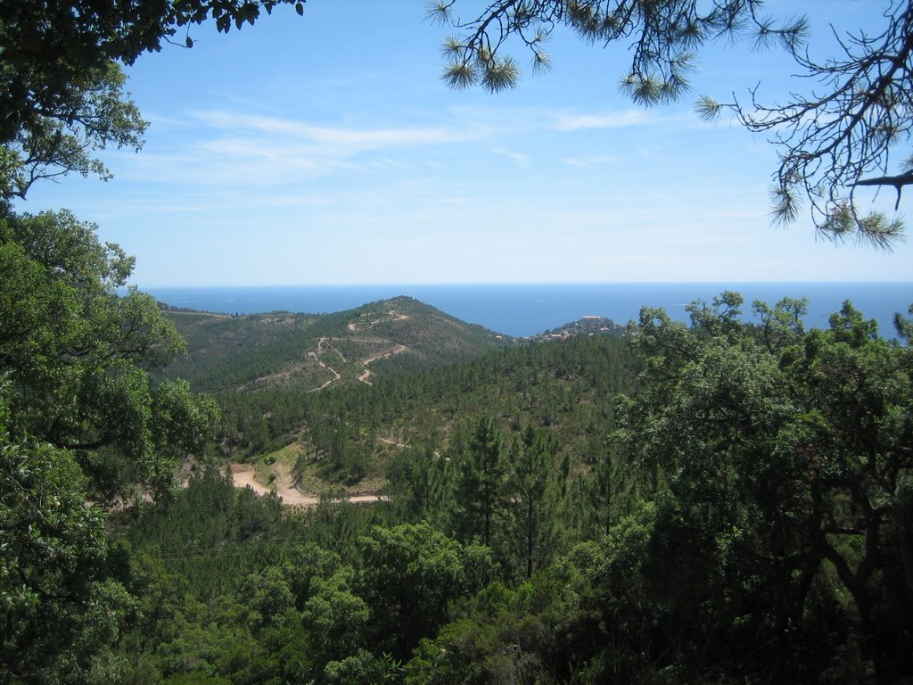 Le massif de l'Esterel by Jeremy Bourgouin