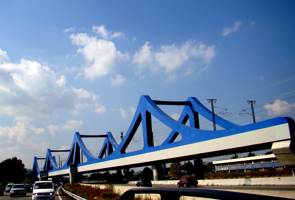 FUTURO PUENTE DEL AVE - BARCELONA -PARIS by JMRODRIGUEZ-Pavoreal